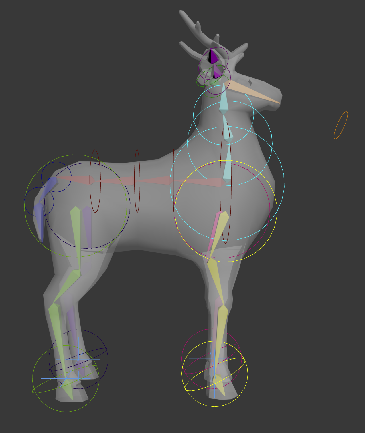 Deer bone view